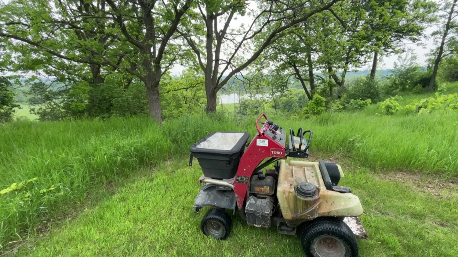 Stand-on mower on a green lawn beside mature trees