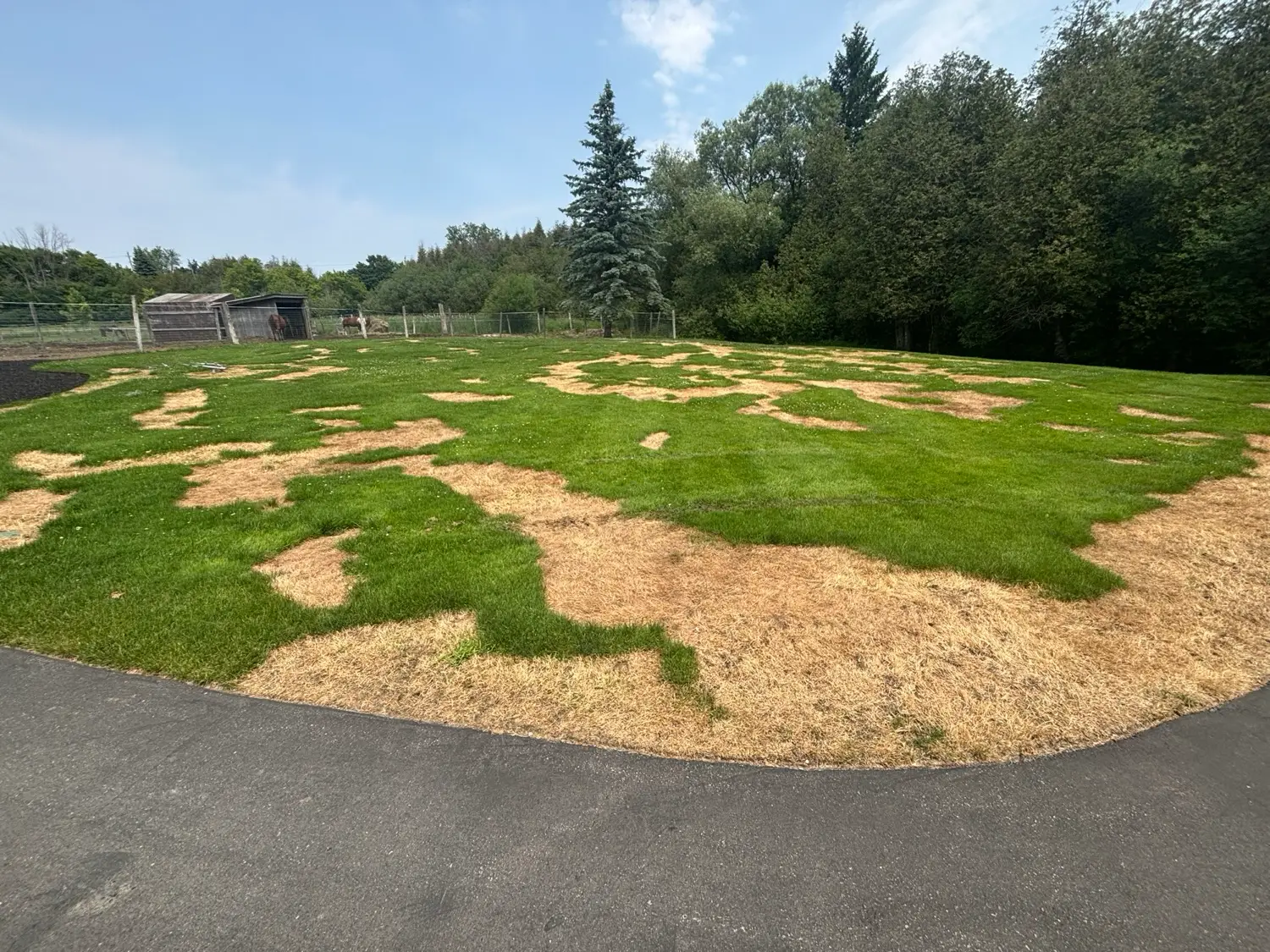 Large estate lawn with crisp mowing stripes