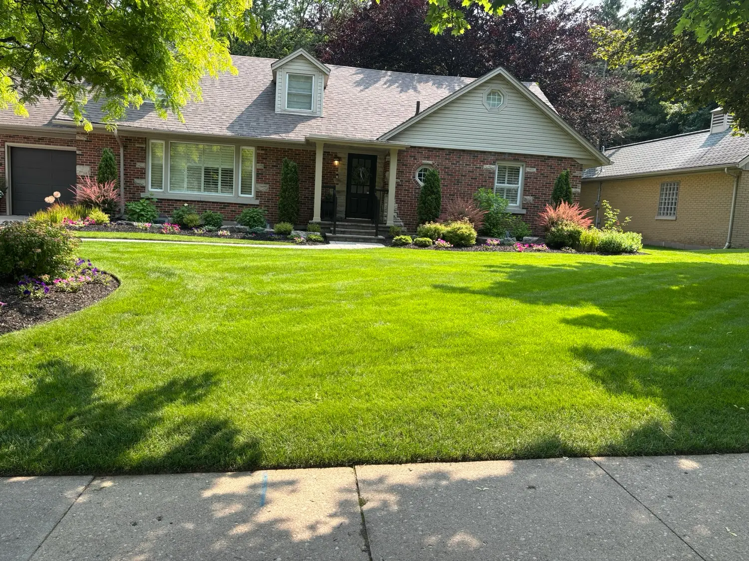 Thick weed-free green lawn along a walkway