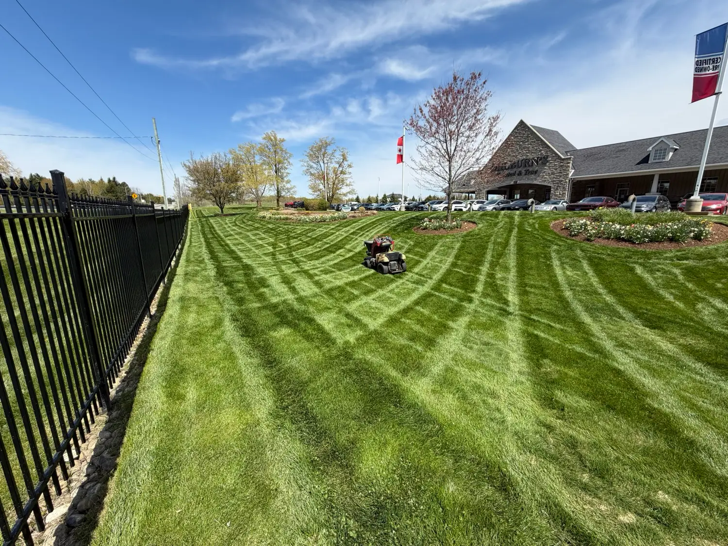 Lawn mowed in a fan stripe pattern by Kollegiate Lawn Care in the Waterloo Region