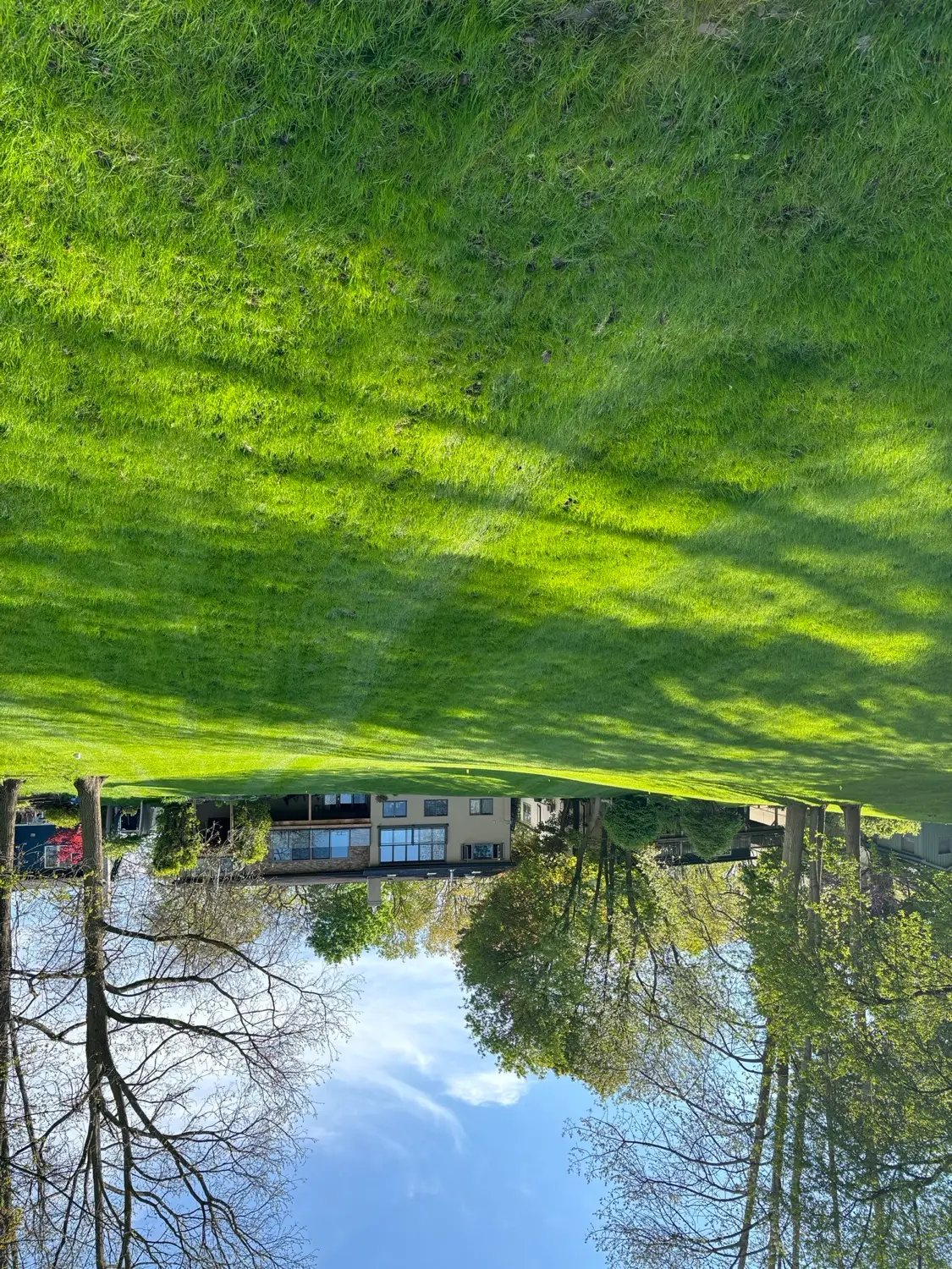 Deep green spring lawn