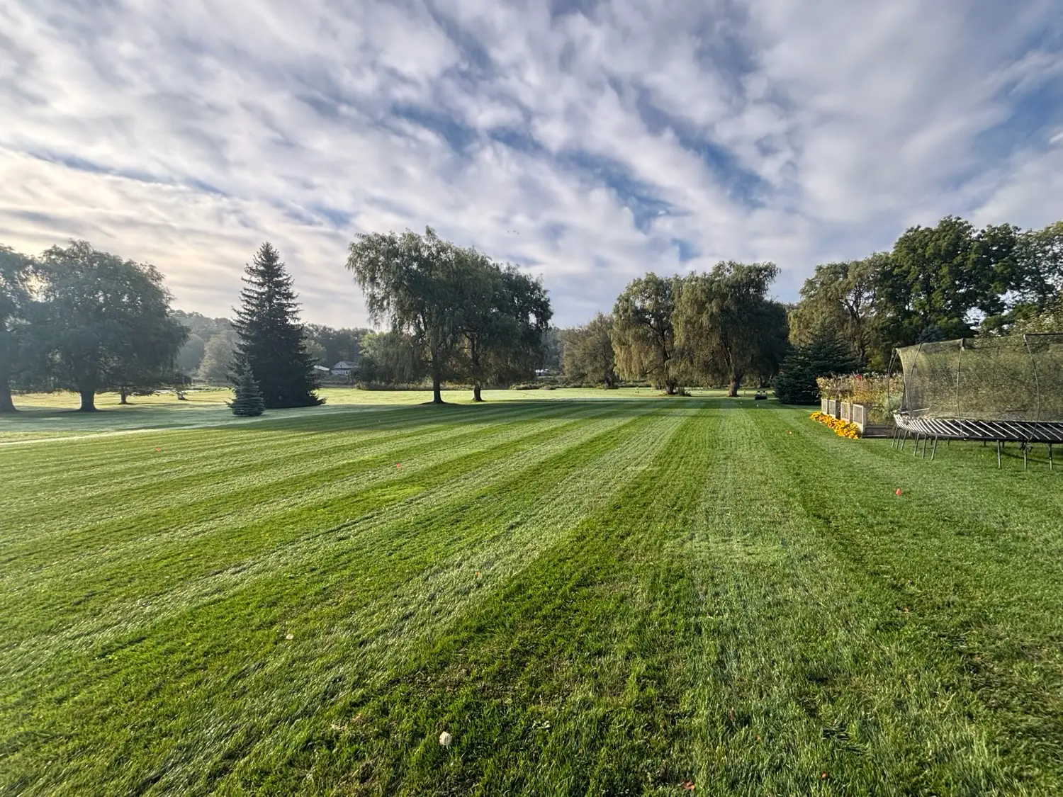 Wide estate lawn with morning mist and mowing stripes
