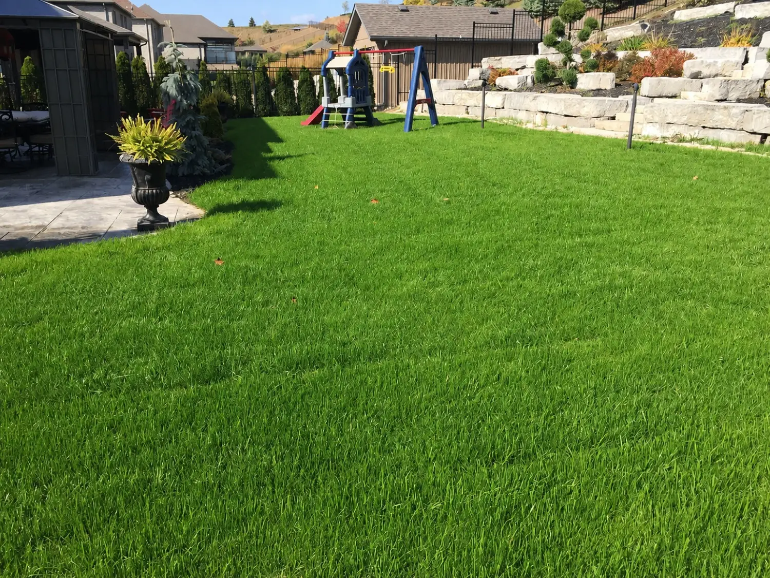 Lawn after a season of Kollegiate Lawn Care treatment