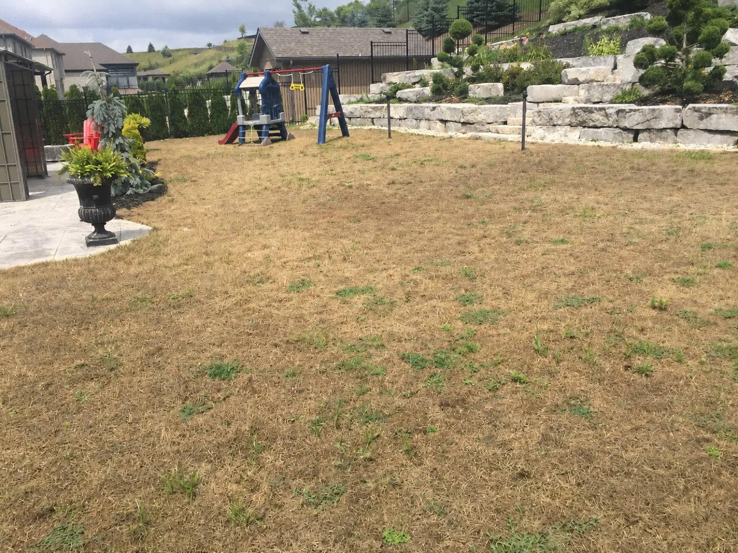 The same lawn before treatment — patchy and stressed