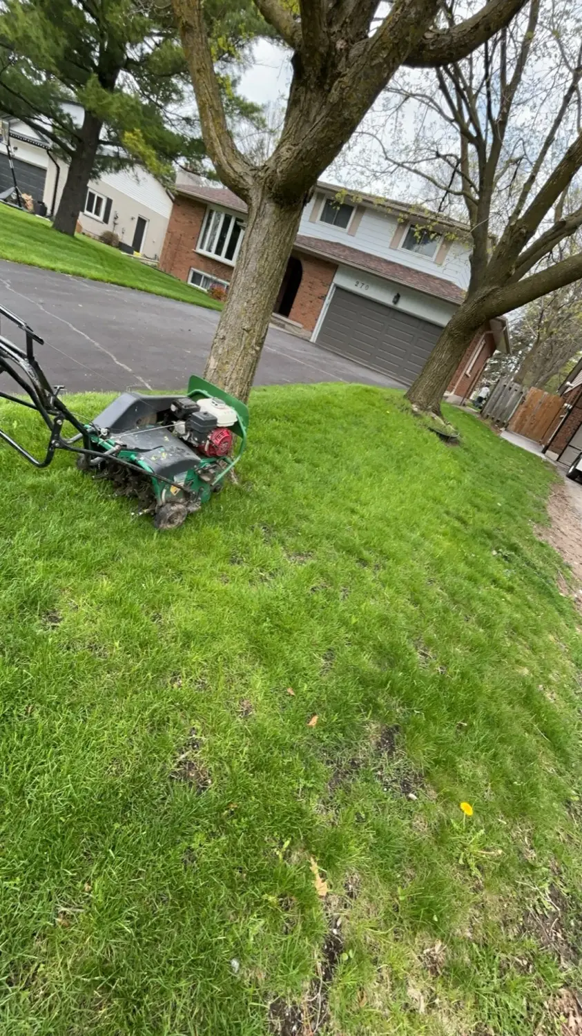 Slit-Seeding by Kollegiate Lawn Care in the Waterloo Region