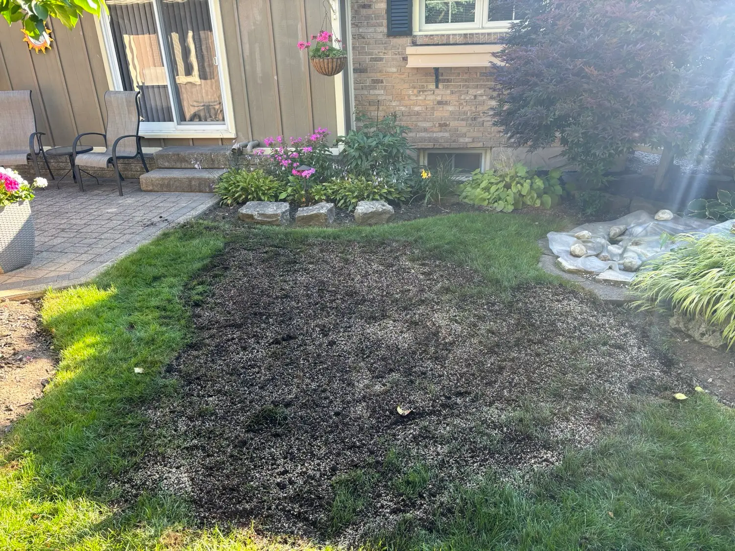 Topdressing by Kollegiate Lawn Care in the Waterloo Region